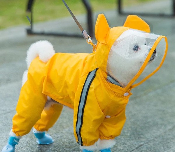 Raincoat For Pets
