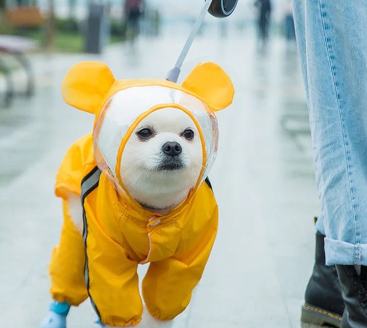 Raincoat For Pets