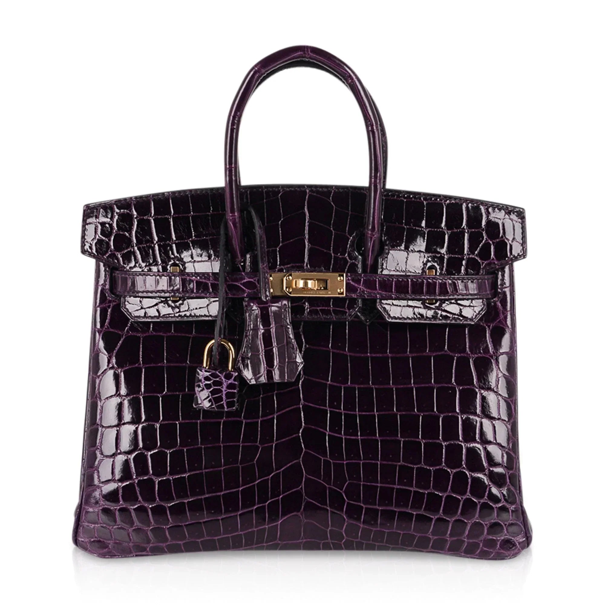 Birkin 25 Bag Aubergine Niloticus Crocodile with Gold Hardware